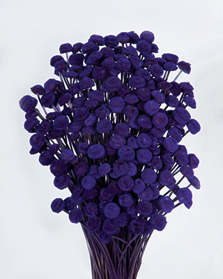 Button Flowers Purple
