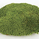 Preserved Pole Moss From France
1 Tray 15 X 9.5 X 2.5