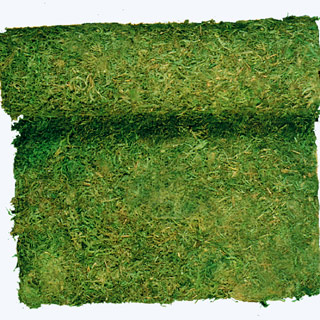 Moss Cloth