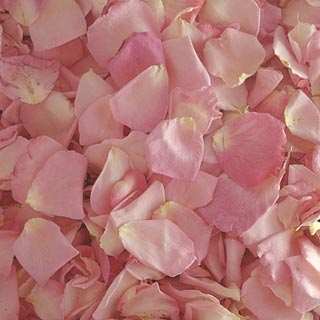 Freeze Dried Rose Petals Bridal Pink