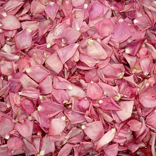Freeze Dried Rose Petals Brite Pink