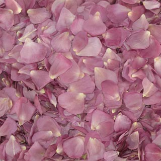 Freeze Dried Rose Petals Lavender