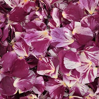 Freeze Dried Rose Petals Lucky In Love