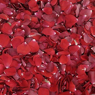 Freeze Dried Rose Petals Bridal Red