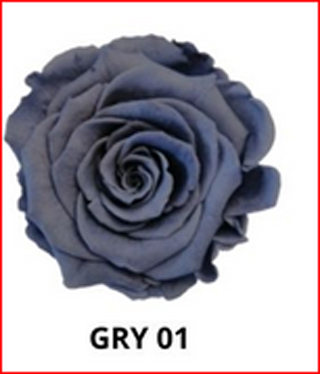 Rosehds Ef Grey Gry-01 