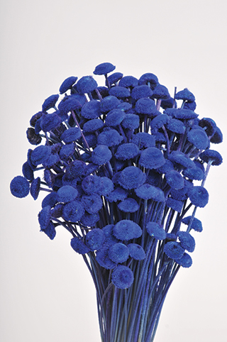 Button Flowers Blue