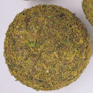 MOSS BALL 8\"                                       