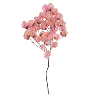 Kara Blossom Spraycherry Blossom Pink 
***out Of Stock***