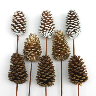 Cones Medium Natural/pkd ***sold Out For Season***