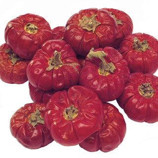 PUMPINOS  RED 