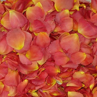 Freeze Dried Rose Petals Easy Living