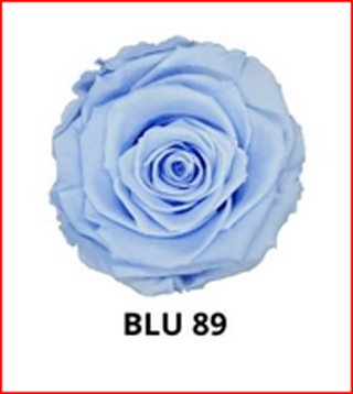 Ef Mini Roses Powder Blue Blu-89 