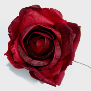 PARCHMENT ROSES  RED